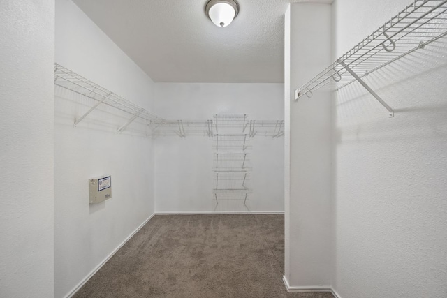 13820 Ceylon Tea Cir, Pflugerville, TX 78660 - spacious closet featuring carpet