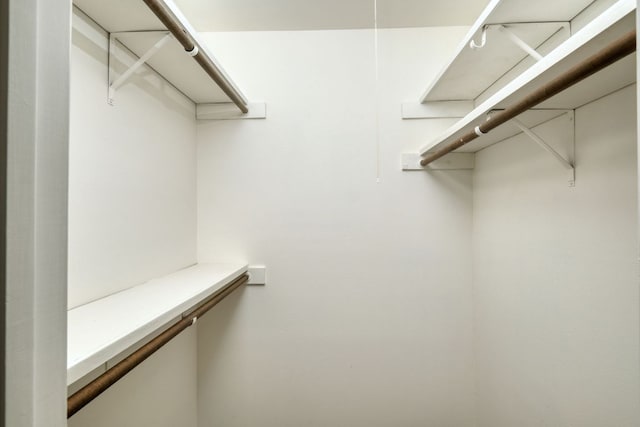 9001 Lodge Ct, Austin, TX 78758 - view of spacious closet