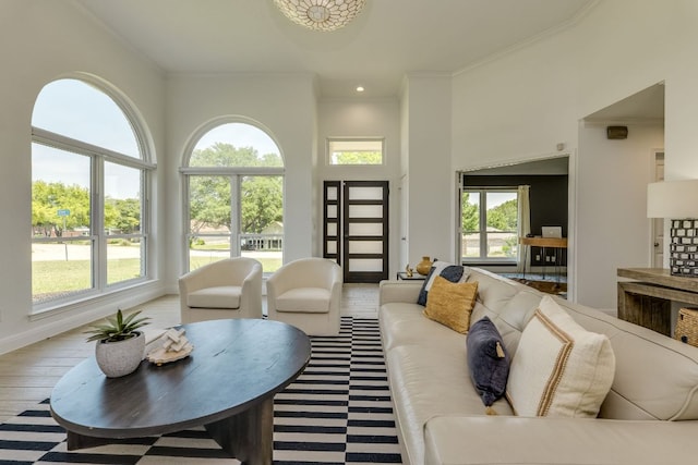 101 Peterson Ct, Austin, TX 78734 - living room featuring crown molding and a high ceiling