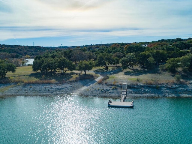 101 Peterson Ct, Austin, TX 78734 - water view