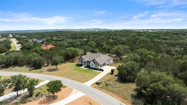 204 Love Creek Ct, Spicewood, TX 78669 - photo 5