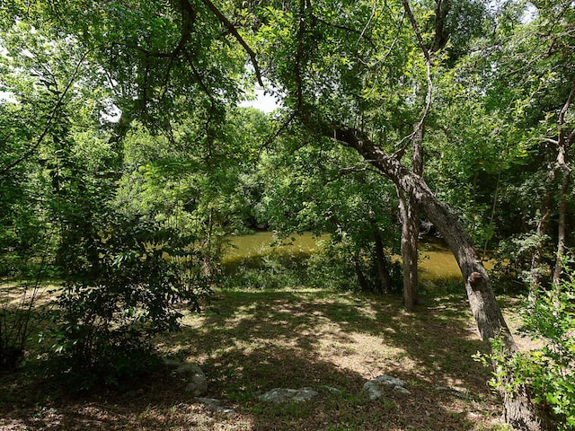 1400 Pearl Cv, Round Rock, TX 78681 - view of tree filled area
