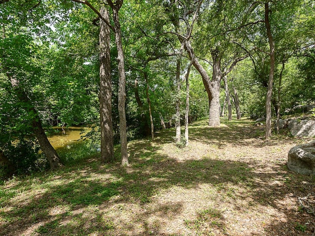 1400 Pearl Cv, Round Rock, TX 78681 - view of woods