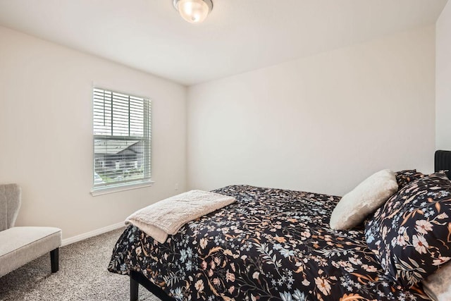 13109 Hatsy Way, Buda, TX 78610 - photo 17