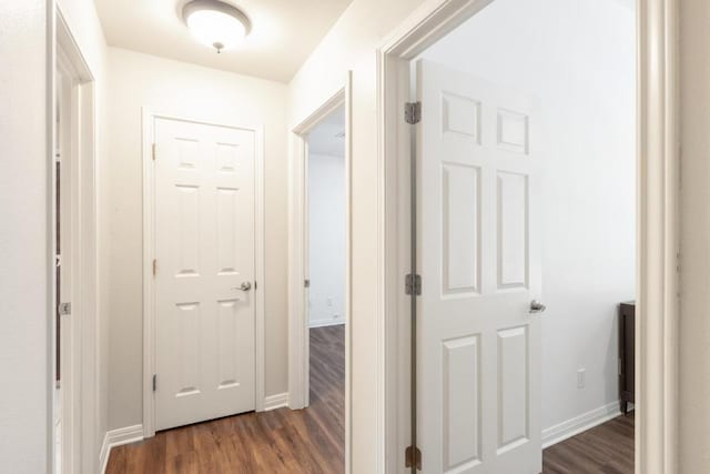 10 Lakewood Cir, Wimberley, TX 78676 - corridor featuring dark wood finished floors and baseboards