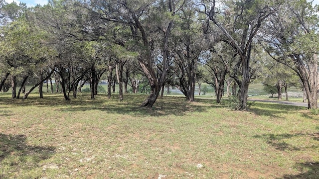 20304 Lexington Cv, Leander, TX 78645