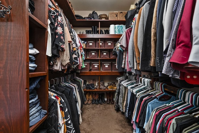 142 Abamillo Dr, Bastrop, TX 78602 - spacious closet featuring carpet flooring