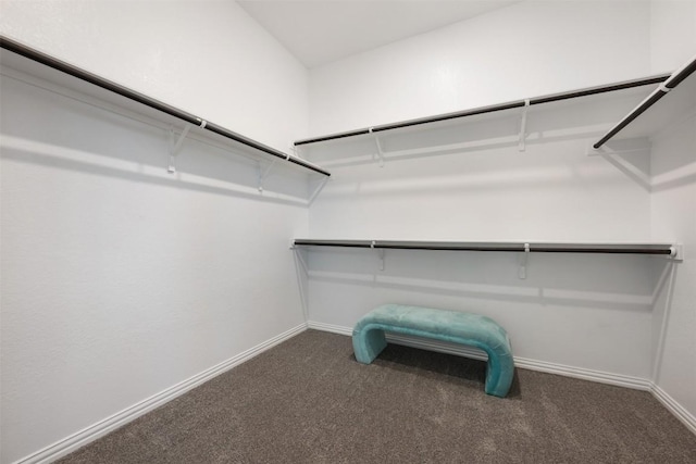 13002 Stanford Dr Unit 40, Austin, TX 78748 - walk in closet featuring carpet flooring