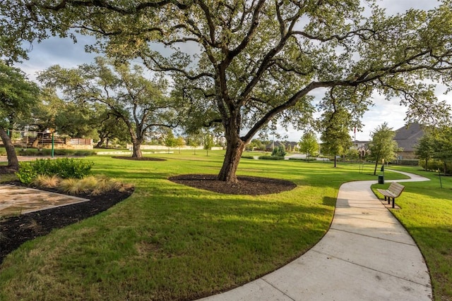 13002 Stanford Dr Unit 40, Austin, TX 78748 - view of community featuring a lawn