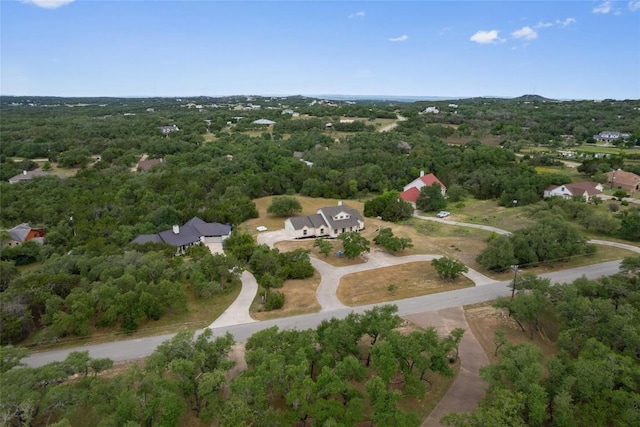 206 High Plains Dr, Dripping Springs, TX 78620 - drone / aerial view of a forest