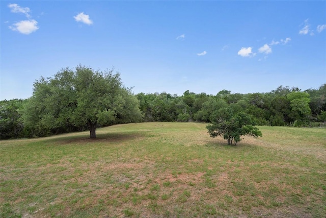 206 High Plains Dr, Dripping Springs, TX 78620 - view of grassy yard featuring a forest view