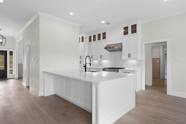 206 High Plains Dr, Dripping Springs, TX 78620 - kitchen featuring a sink, range hood, ornamental molding, tasteful backsplash, and white cabinetry