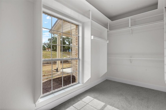 206 High Plains Dr, Dripping Springs, TX 78620 - walk in closet with carpet floors