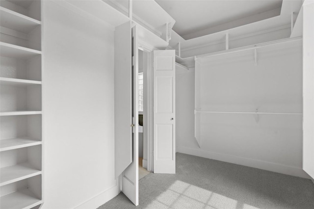 206 High Plains Dr, Dripping Springs, TX 78620 - spacious closet with carpet floors