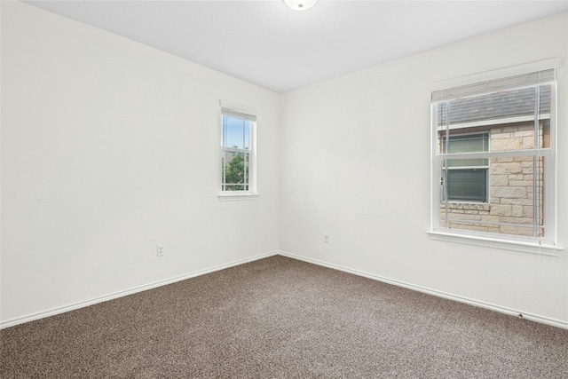 404 Buttercup Creek Blvd Unit 46, Cedar Park, TX 78613 - photo 28
