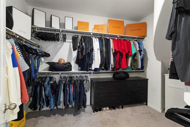241 Oleander Loop, Buda, TX 78610 - spacious closet featuring carpet floors