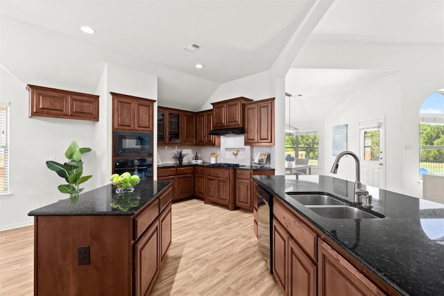270 Harris Dr, Austin, TX 78737 - kitchen with black appliances, a sink, light wood-style flooring, under cabinet range hood, and vaulted ceiling