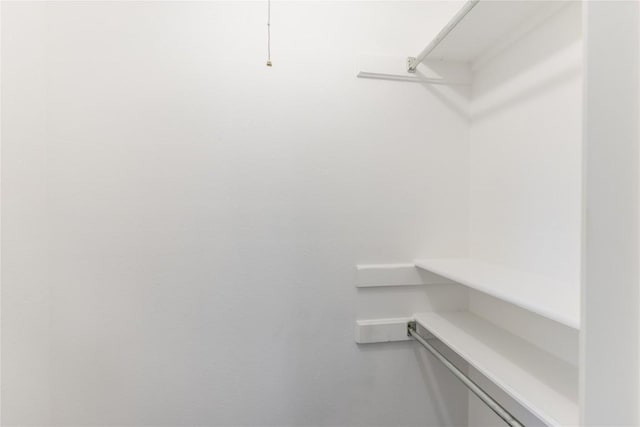 1404 Troy Ln, Round Rock, TX 78664 - view of walk in closet