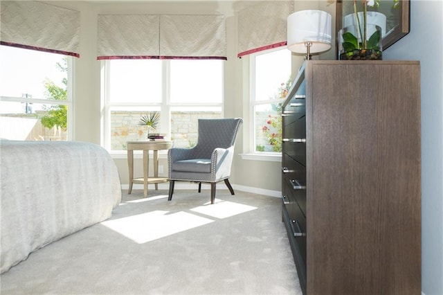 813 Vaughn St, Georgetown, TX 78628 - bedroom with carpet floors and baseboards