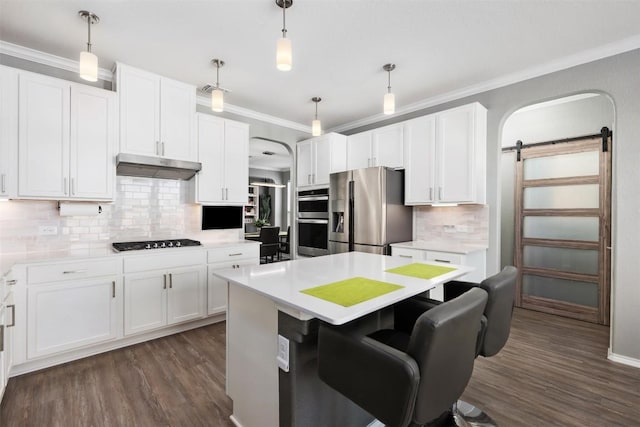 1312 Backcountry Dr, Leander, TX 78641 - kitchen featuring stainless steel appliances, under cabinet range hood, arched walkways, a barn door, and crown molding