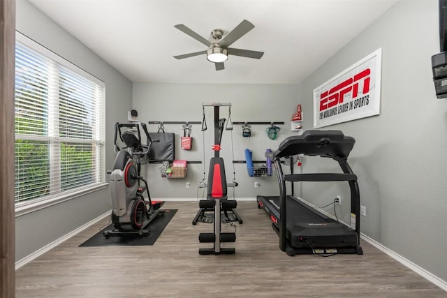 1312 Backcountry Dr, Leander, TX 78641 - workout area featuring ceiling fan, healthy amount of natural light, wood finished floors, and baseboards
