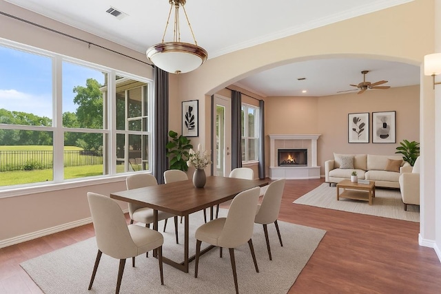 dining room featuring arched walkways, healthy amount of natural light, wood finished floors, a fireplace, and crown molding