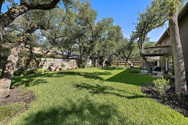11008 Arch Ter, Austin, TX 78750 - view of yard