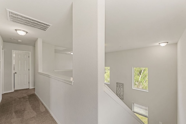 1701 S Bell Blvd Unit 101, Cedar Park, TX 78613 - hall with carpet, an upstairs landing, and baseboards
