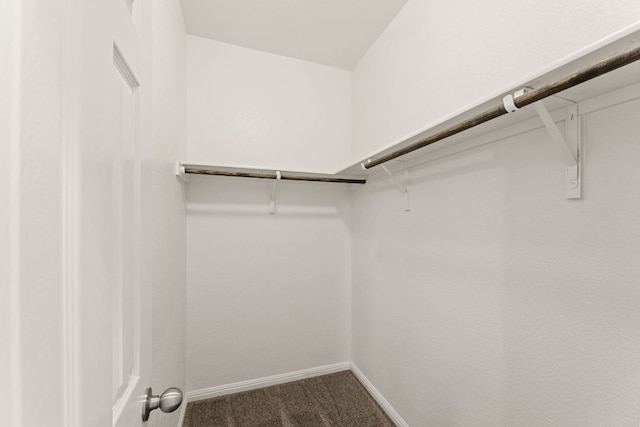 1701 S Bell Blvd Unit 101, Cedar Park, TX 78613 - walk in closet with dark colored carpet