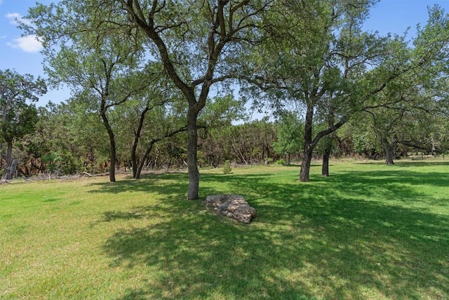 141 Canyon Oak Loop, Georgetown, TX 78633 - photo 34