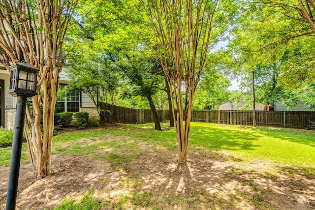 2115 Bluebonnet Ln Unit 3B, Austin, TX 78704 - photo 31
