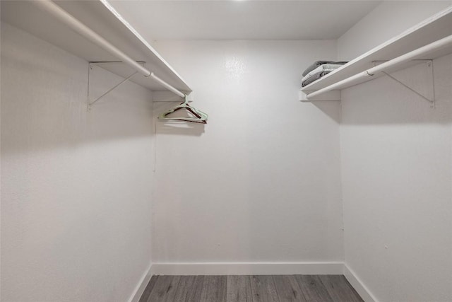 4601 Candletree Ln, Austin, TX 78744 - spacious closet with wood finished floors