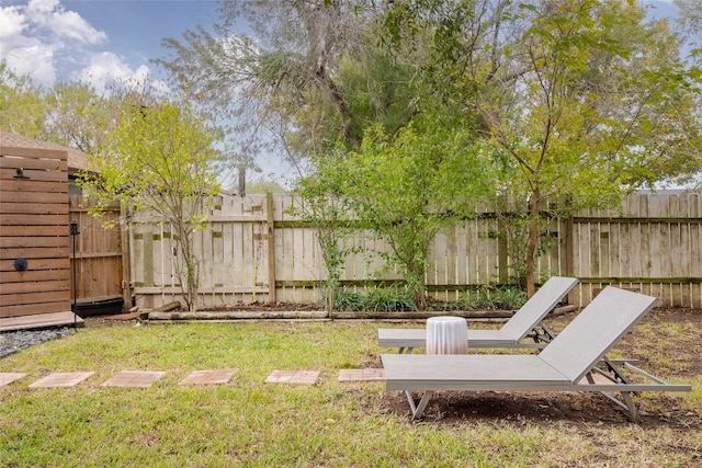 4601 Candletree Ln, Austin, TX 78744 - view of yard