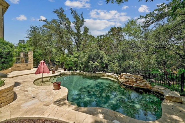12004 Mira Mesa Dr, Austin, TX 78732 - view of pool featuring a patio
