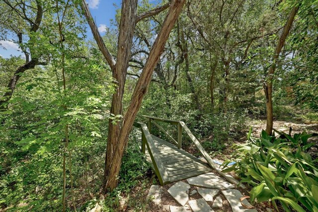 12004 Mira Mesa Dr, Austin, TX 78732 - view of yard