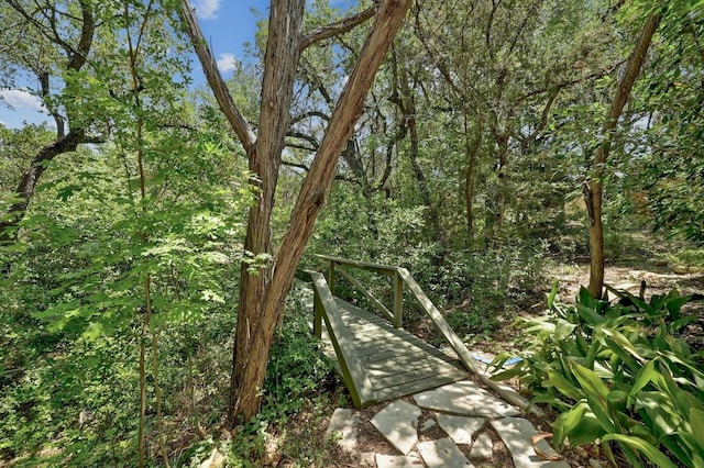 12004 Mira Mesa Dr, Austin, TX 78732 - view of yard