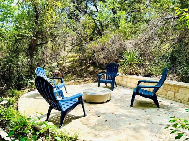 12004 Mira Mesa Dr, Austin, TX 78732 - photo 36