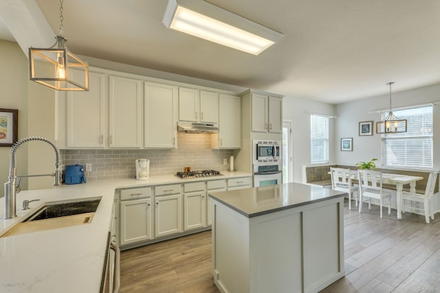 1414 Shamitas Ct, Leander, TX 78641 - kitchen featuring a sink, appliances with stainless steel finishes, under cabinet range hood, light wood-style flooring, and backsplash