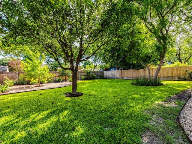 1316 Arcadia Ave, Austin, TX 78757 - view of yard