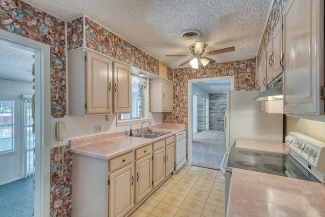 111 Dove Rd, Highland Haven, TX 78654 - kitchen with white appliances, a sink, under cabinet range hood, a textured ceiling, and wallpapered walls