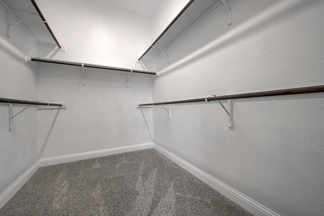20908 Akbash Ln, Pflugerville, TX 78660 - walk in closet with carpet flooring