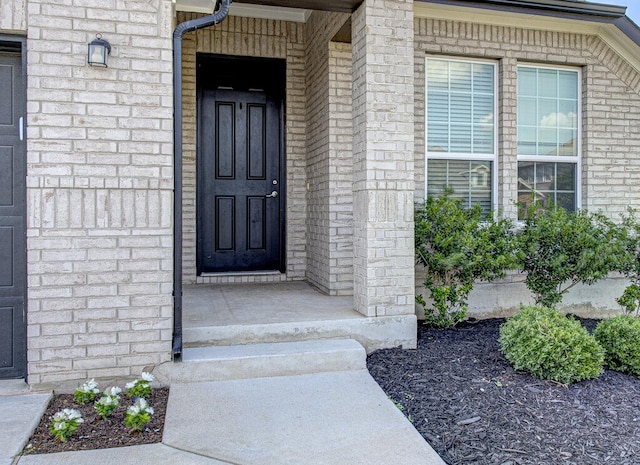 20908 Akbash Ln, Pflugerville, TX 78660 - doorway to property featuring brick siding