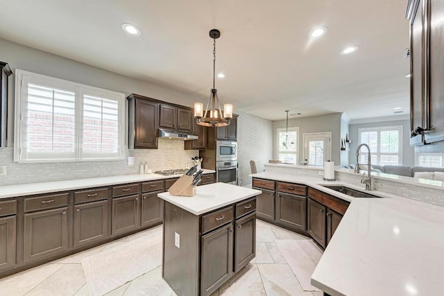 2407 Powderham Ln S, Cedar Park, TX 78613 - kitchen with stainless steel appliances, a sink, dark brown cabinetry, under cabinet range hood, and light countertops