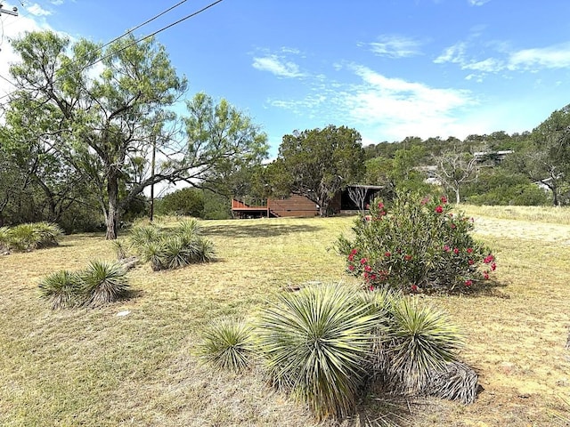 315 Skyline Dr, Sunrise Beach, TX 78643 - view of yard