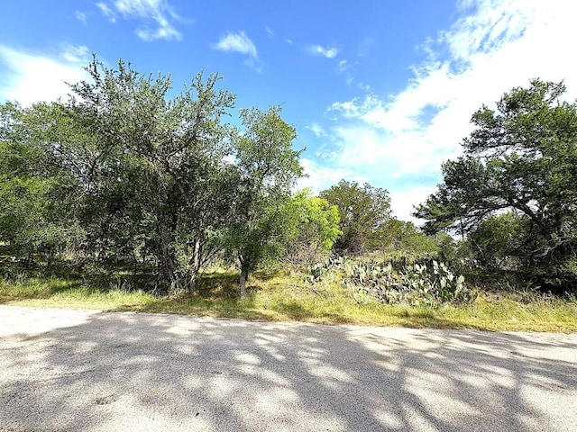 315 Skyline Dr, Sunrise Beach, TX 78643 - view of street
