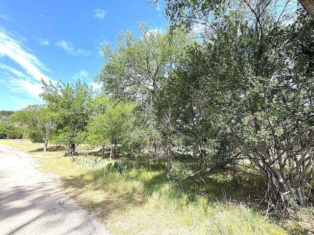 315 Skyline Dr, Sunrise Beach, TX 78643 - view of nature