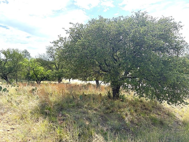 315 Skyline Dr, Sunrise Beach, TX 78643 - view of nature