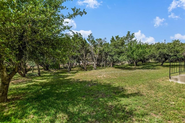 9501 Derecho Bnd, Austin, TX 78737 - view of green lawn