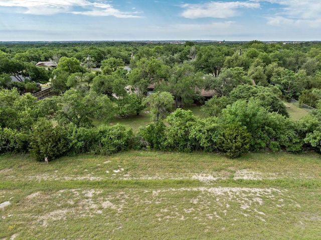 300 W Sequoia Spur, Georgetown, TX 78628 - view of yard with a view of trees