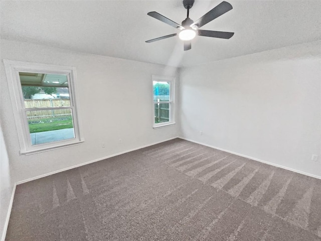 126 Waterlily Way, Hutto, TX 78634 - empty room featuring carpet flooring and a ceiling fan